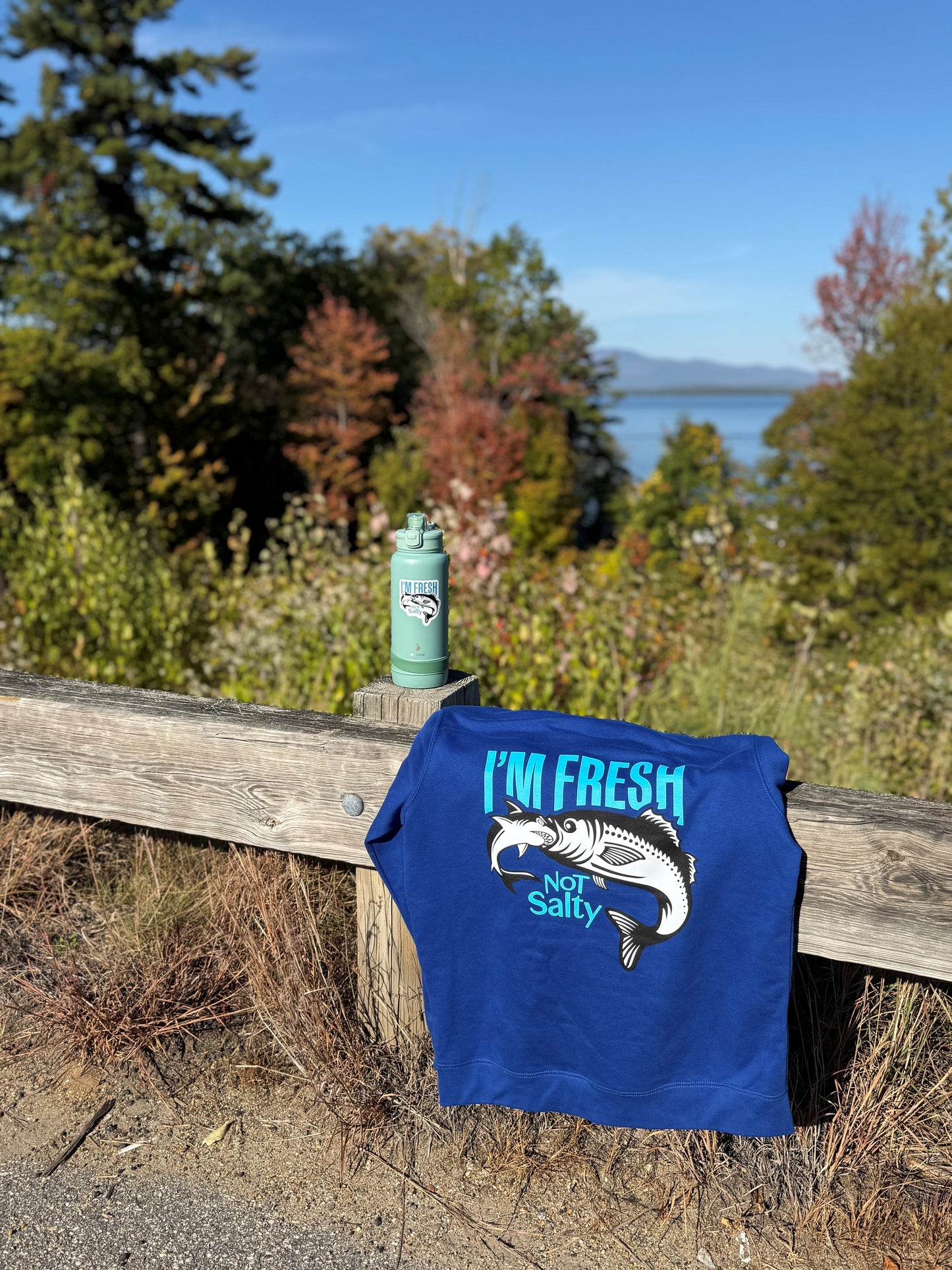 FRESH Edition I'm Fresh Not Salty Hooded Sweatshirt